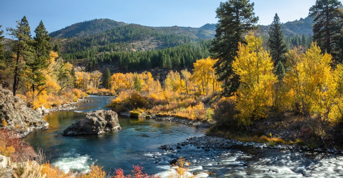truckee river in the fall